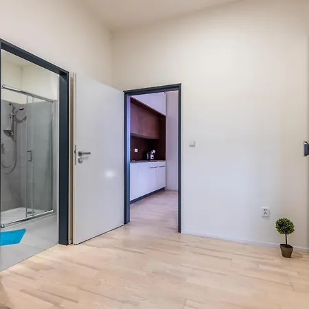 Apartia Skorepka, Brno-center Apartment Brno