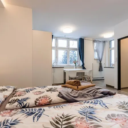 Apartia Skorepka, Brno-center 아파트