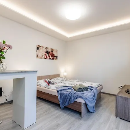 Apartia Skorepka, Brno-center 브르노