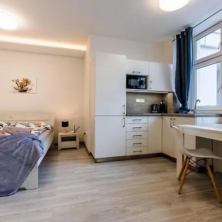 Apartia Skorepka, Brno-center 아파트 브르노