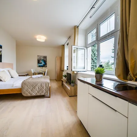 Apartia Skorepka, Brno-center