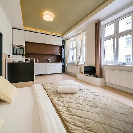 Apartia Skorepka, Brno-center Διαμέρισμα *